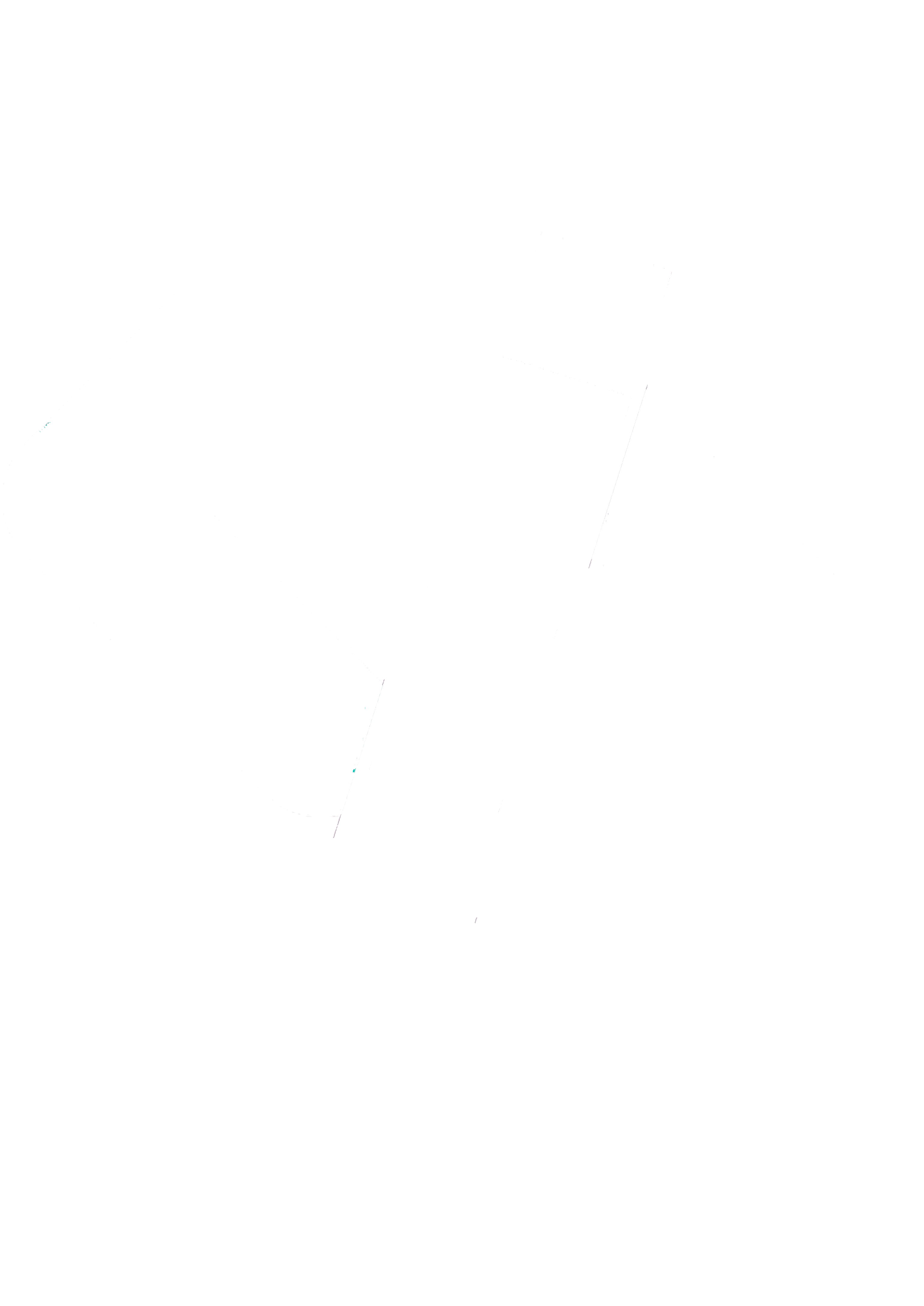 Image name